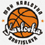 https://img.baddebtaudit.com/img/basketball/team/0c2f73d2ab7041cf90029a20deff7f17.gif